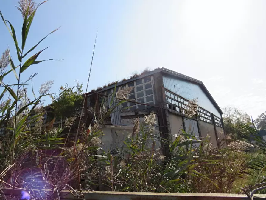 Immagine 13 di Capannone industriale in vendita  in Via 2 Giugno a Jolanda Di Savoia