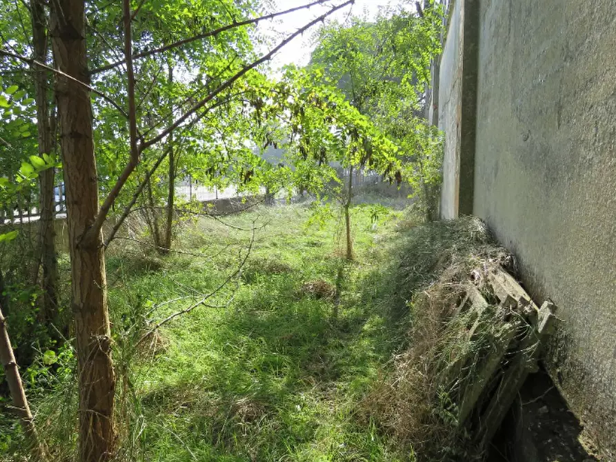 Immagine 14 di Capannone industriale in vendita  in Via 2 Giugno a Jolanda Di Savoia