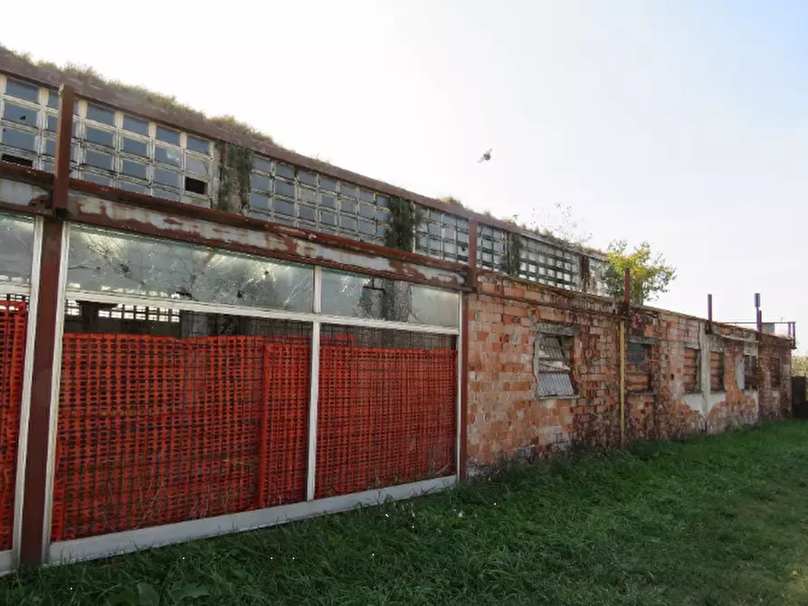 Immagine 15 di Capannone industriale in vendita  in Via 2 Giugno a Jolanda Di Savoia