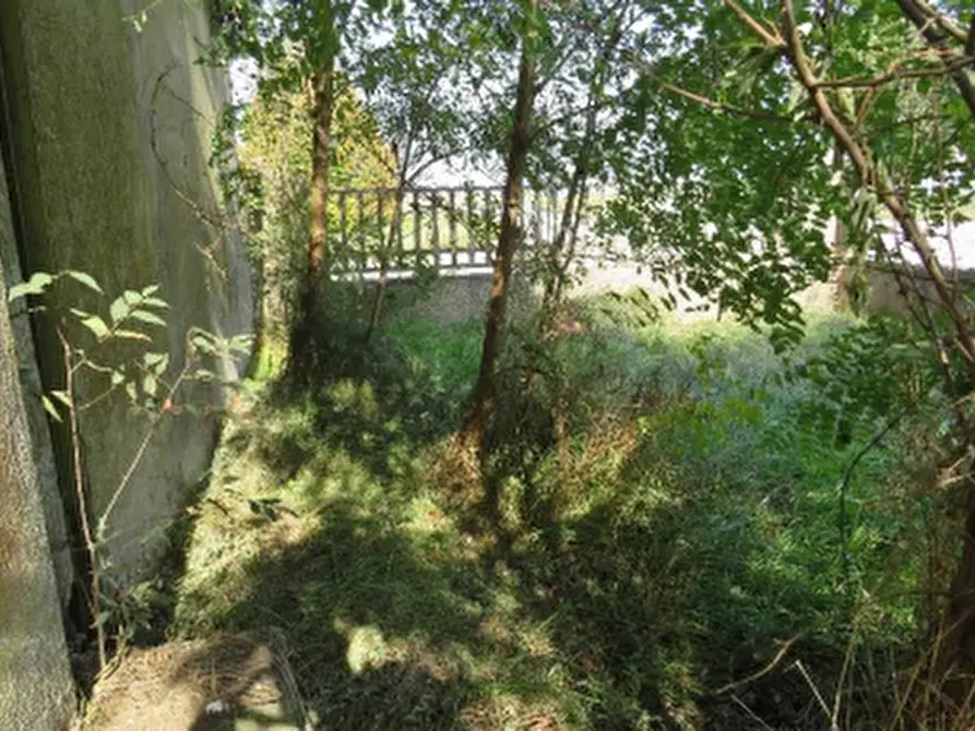 Immagine 19 di Capannone industriale in vendita  in Via 2 Giugno a Jolanda Di Savoia