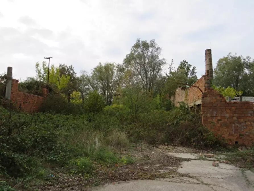 Immagine 1 di Terreno agricolo in vendita  in Località Berra a Riva Del Po