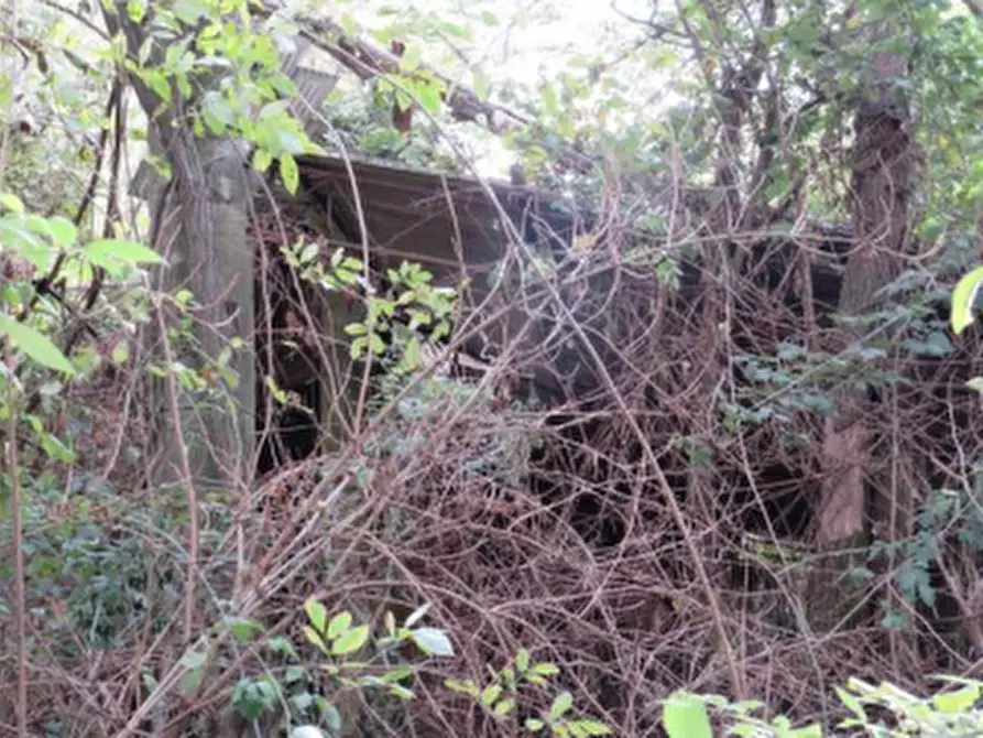 Immagine 4 di Terreno agricolo in vendita  in Località Berra a Riva Del Po