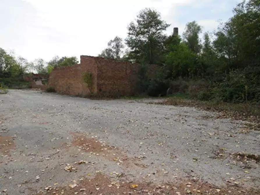 Immagine 8 di Terreno agricolo in vendita  in Località Berra a Riva Del Po