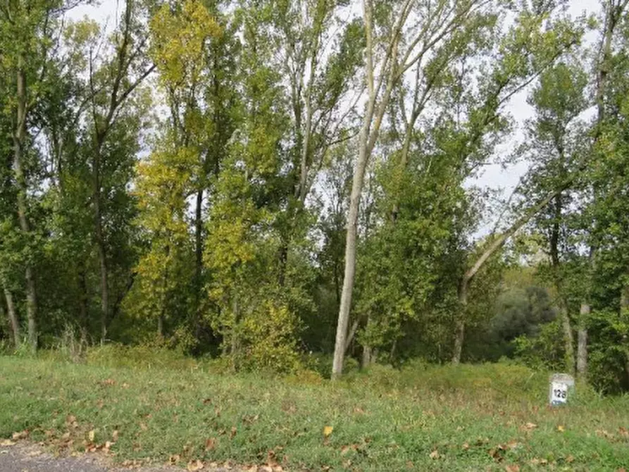 Immagine 10 di Terreno agricolo in vendita  in Località Berra a Riva Del Po