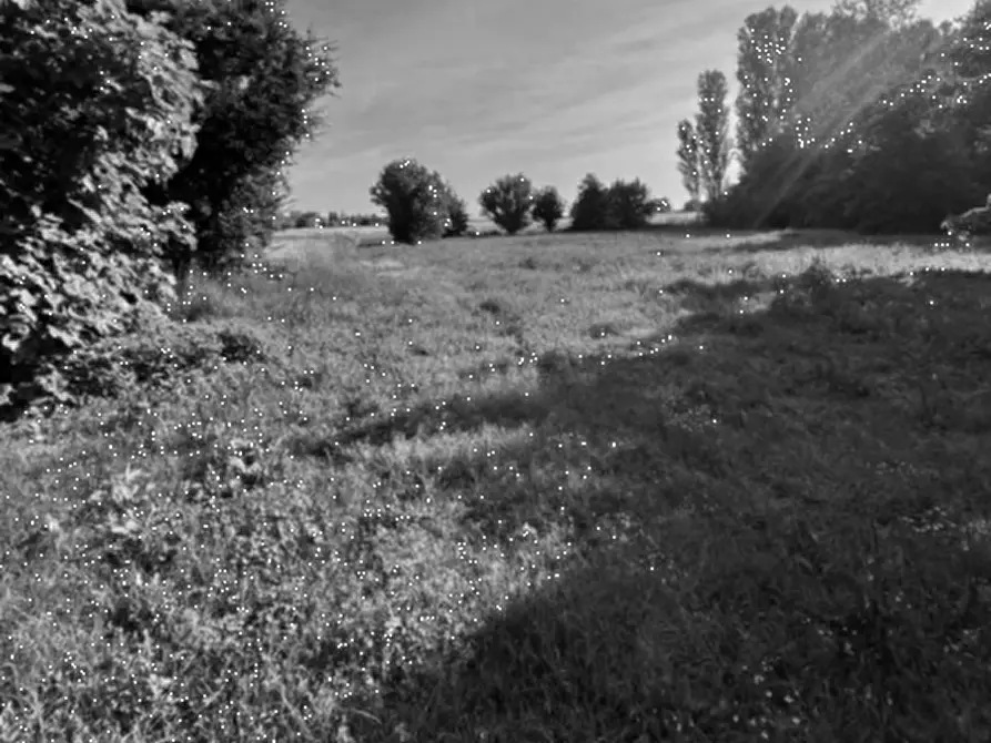 Immagine 2 di Casa indipendente in vendita  in Via Massafiscaglia a Ferrara
