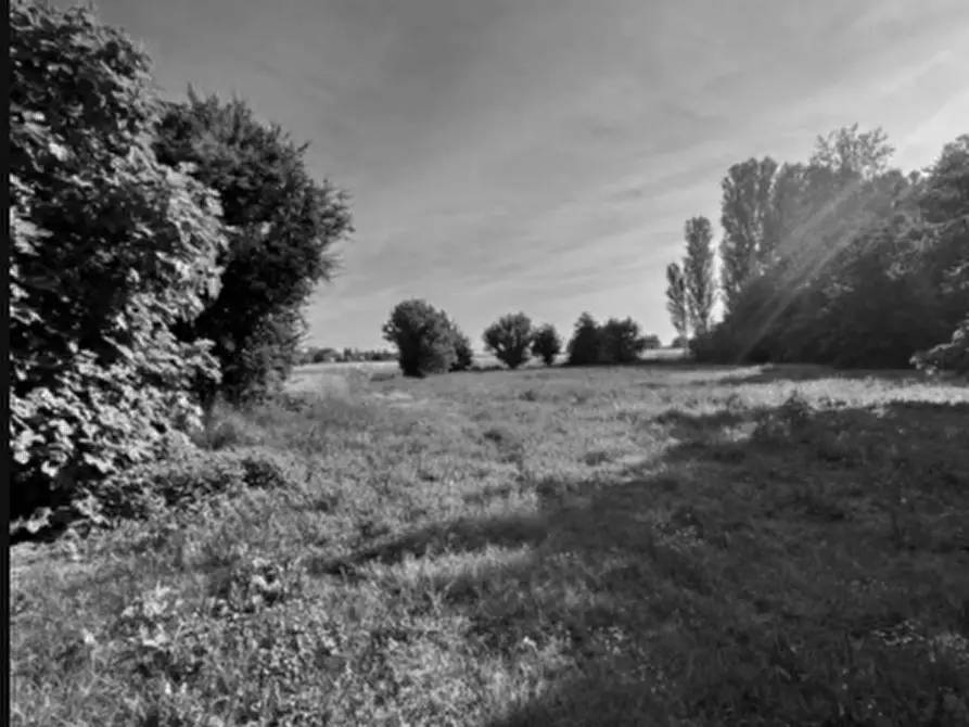 Immagine 3 di Casa indipendente in vendita  in Via Massafiscaglia a Ferrara