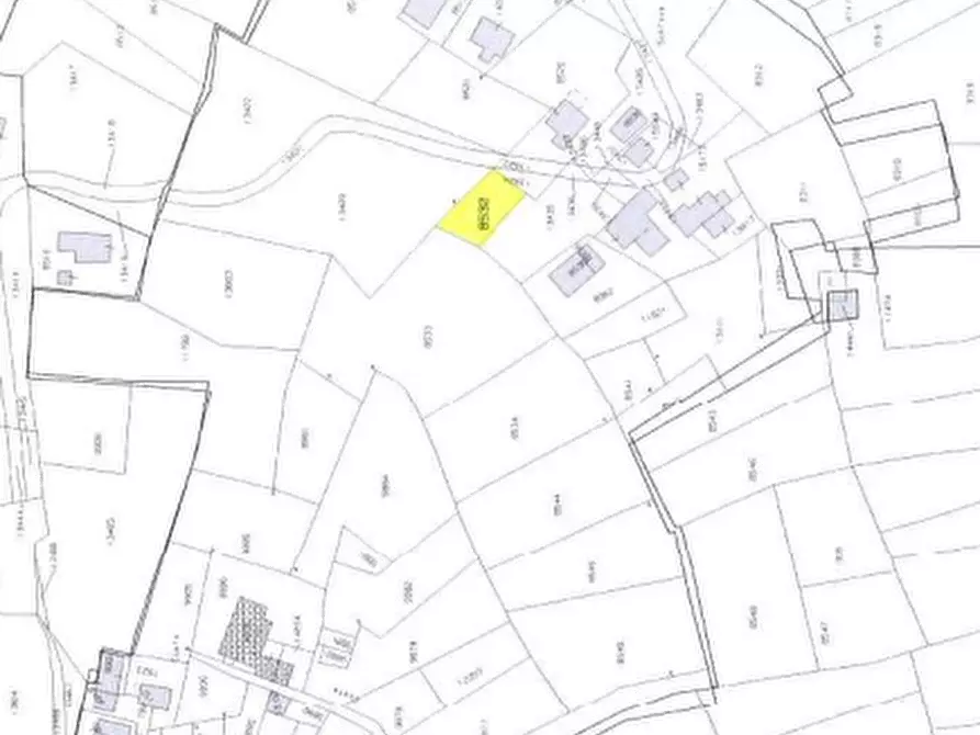 Immagine 7 di Terreno agricolo in vendita  in Località Stazzona a Stazzona