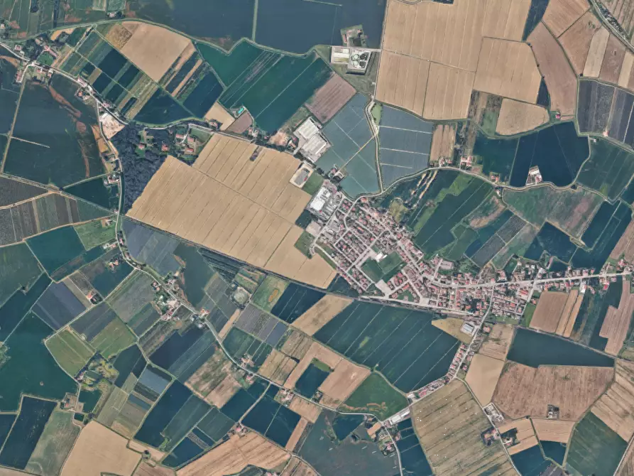 Immagine 6 di Appartamento in vendita  in Piazza Cesare Toschi a Masi Torello