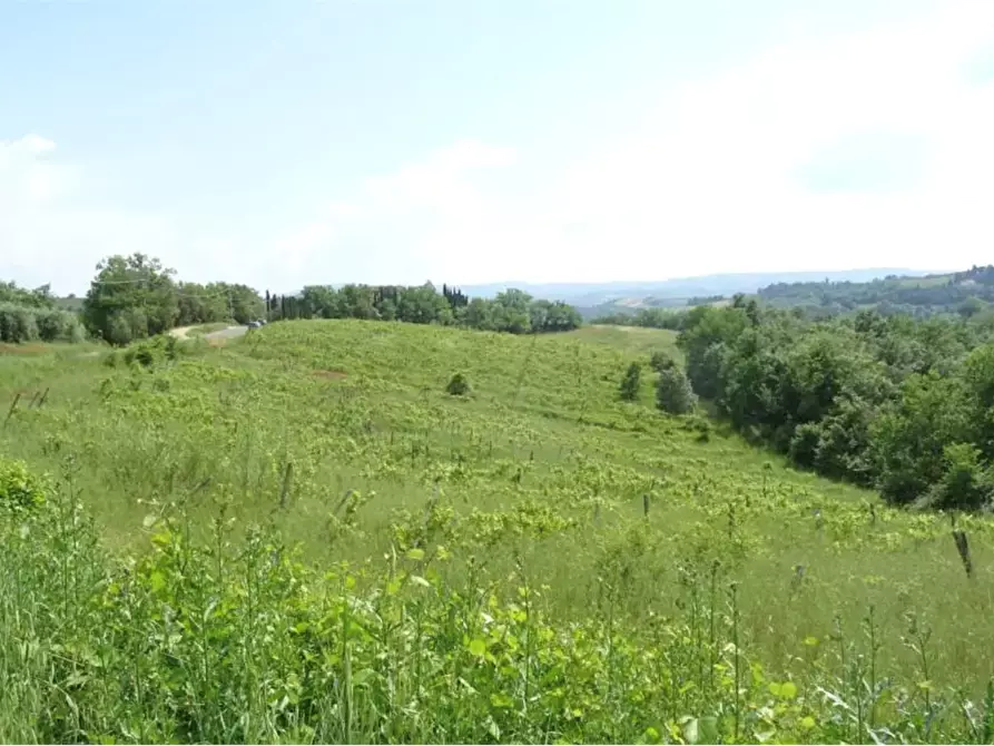 Immagine 1 di Terreno agricolo in vendita  in Via Ortimo a Montespertoli