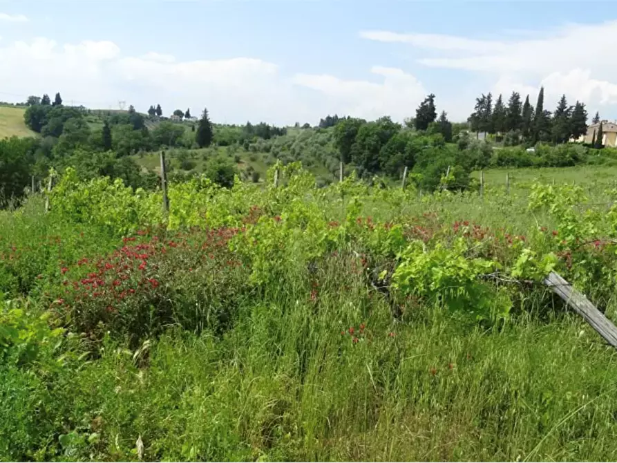 Immagine 3 di Terreno agricolo in vendita  in Via Ortimo a Montespertoli