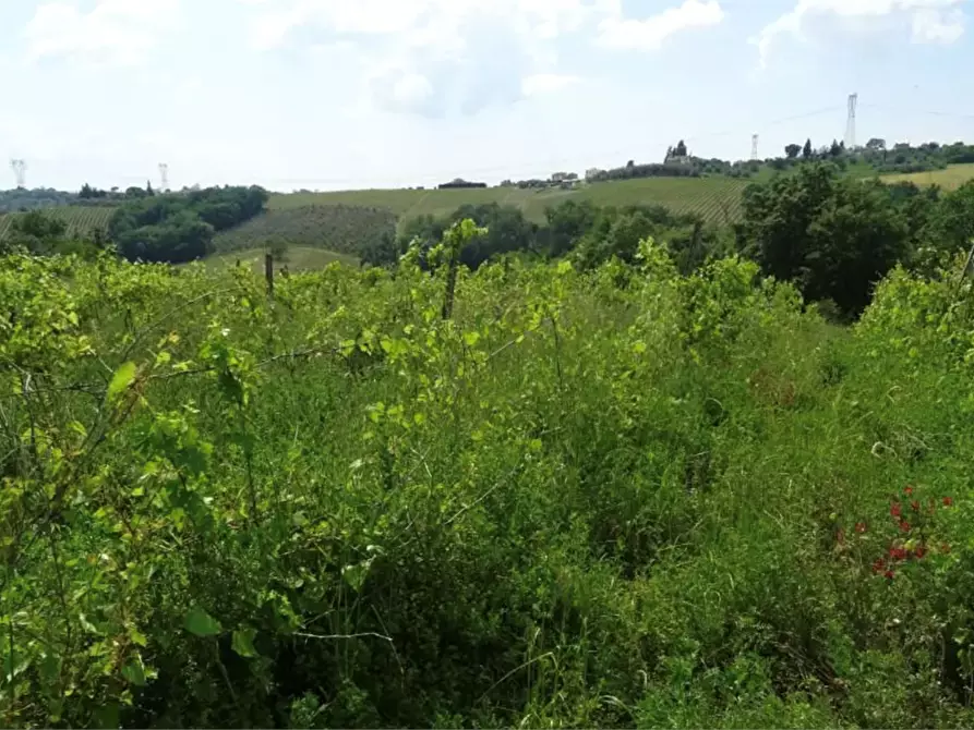 Immagine 4 di Terreno agricolo in vendita  in Via Ortimo a Montespertoli