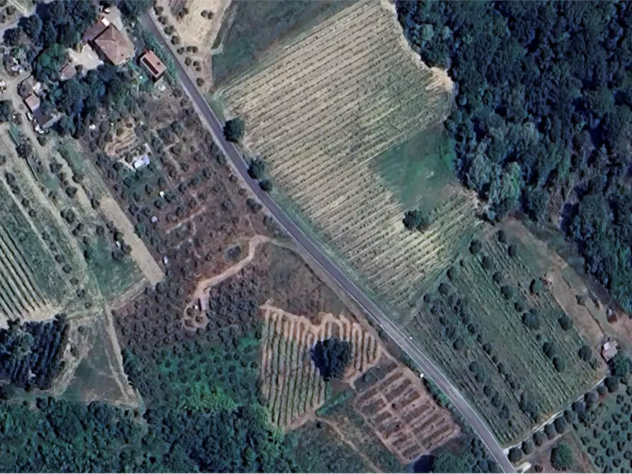 Immagine 6 di Terreno agricolo in vendita  in Via Ortimo a Montespertoli