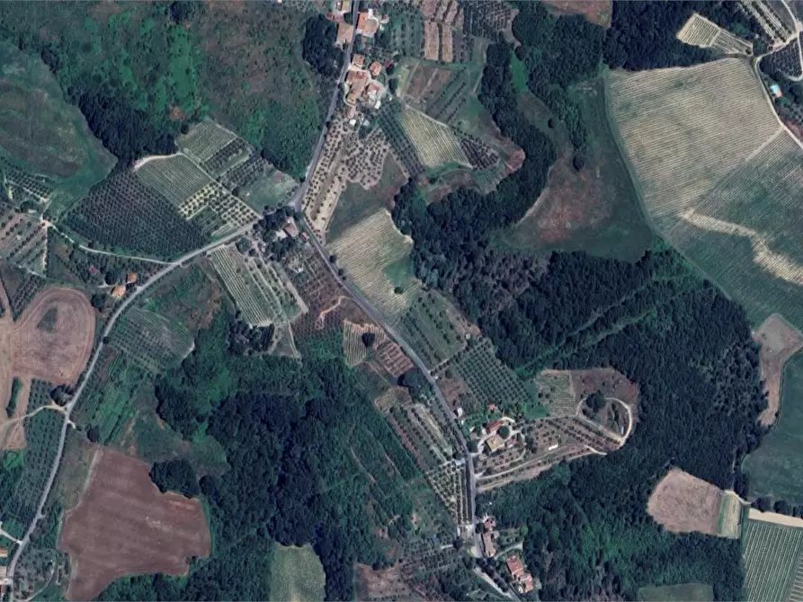 Immagine 7 di Terreno agricolo in vendita  in Via Ortimo a Montespertoli
