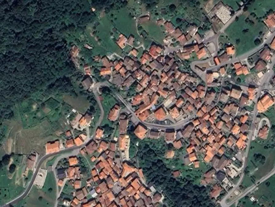 Immagine 1 di Terreno agricolo in vendita  in Località Stazzona a Stazzona