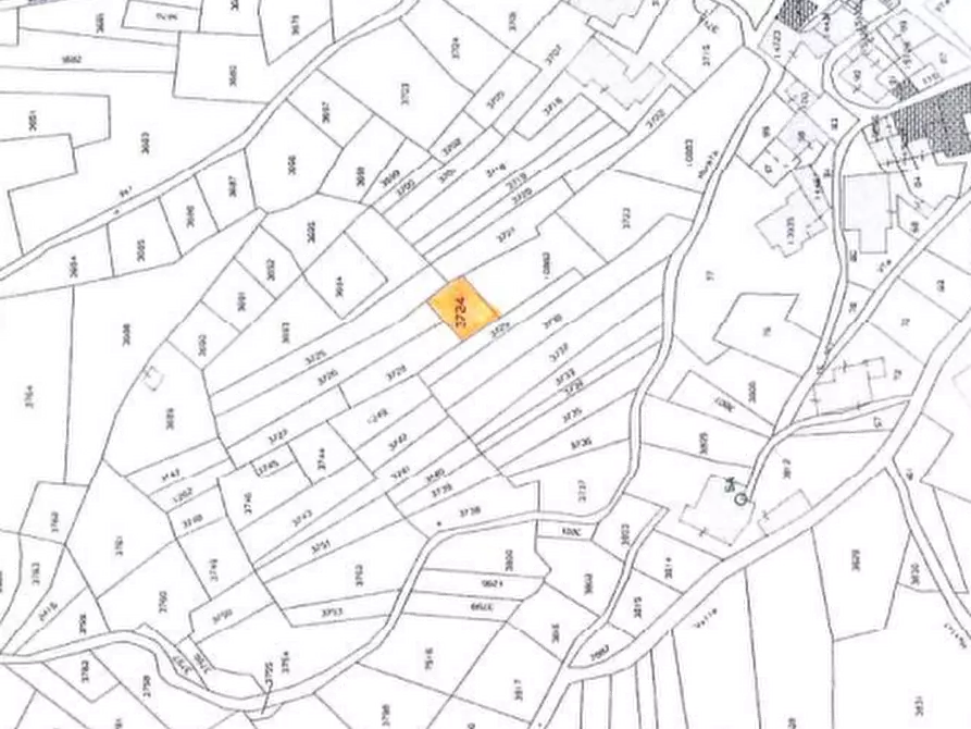 Immagine 4 di Terreno agricolo in vendita  in Località Stazzona a Stazzona