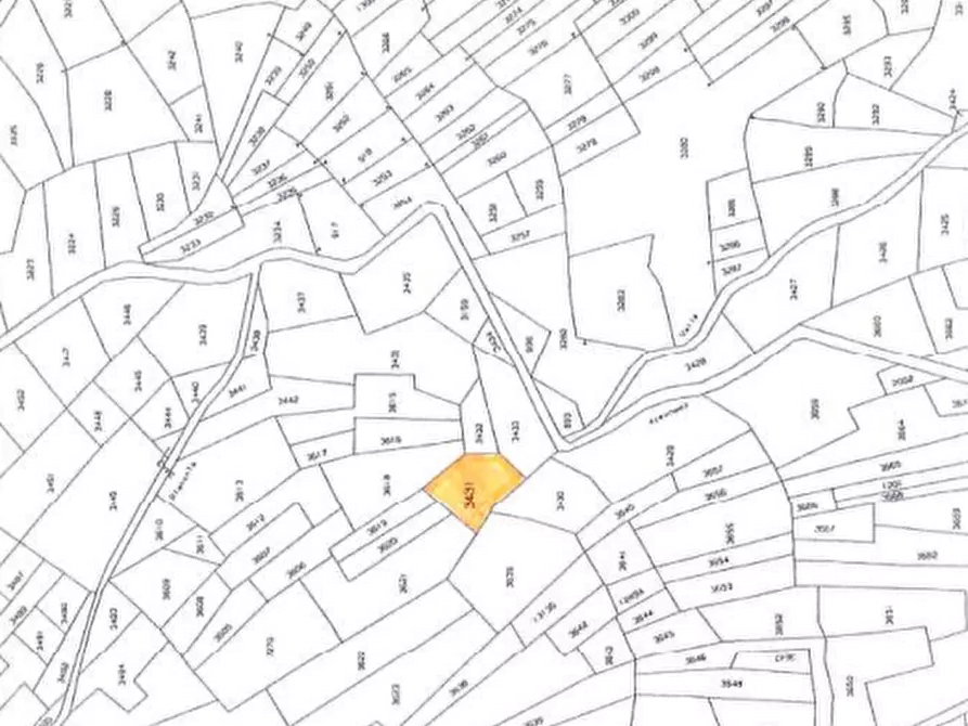 Immagine 5 di Terreno agricolo in vendita  in Località Stazzona a Stazzona