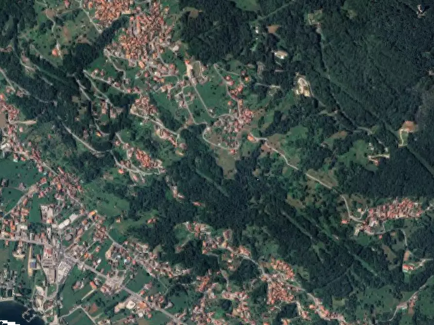 Immagine 3 di Terreno agricolo in vendita  in Località Stazzona a Stazzona