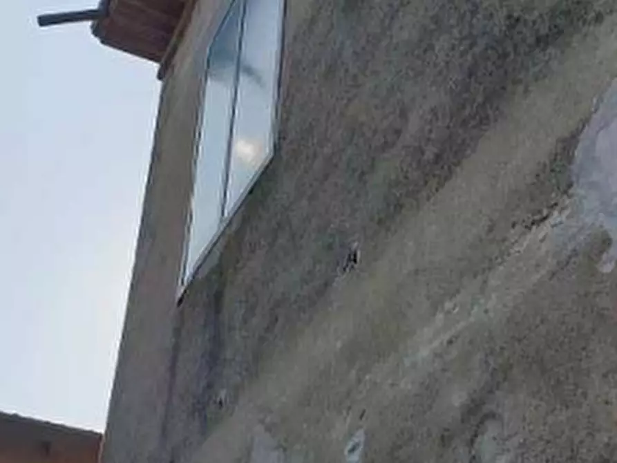 Immagine 16 di Capannone industriale in vendita  in Via Colonna a Castelbelforte