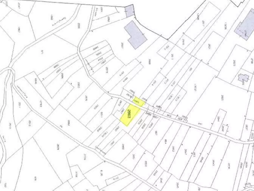 Immagine 5 di Terreno agricolo in vendita  in Località Stazzona a Stazzona