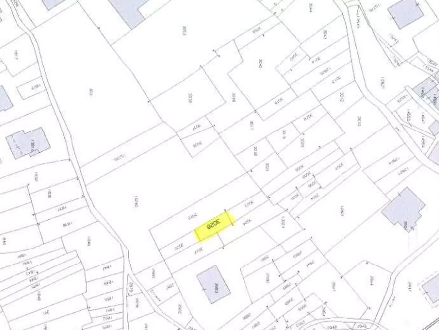 Immagine 6 di Terreno agricolo in vendita  in Località Stazzona a Stazzona