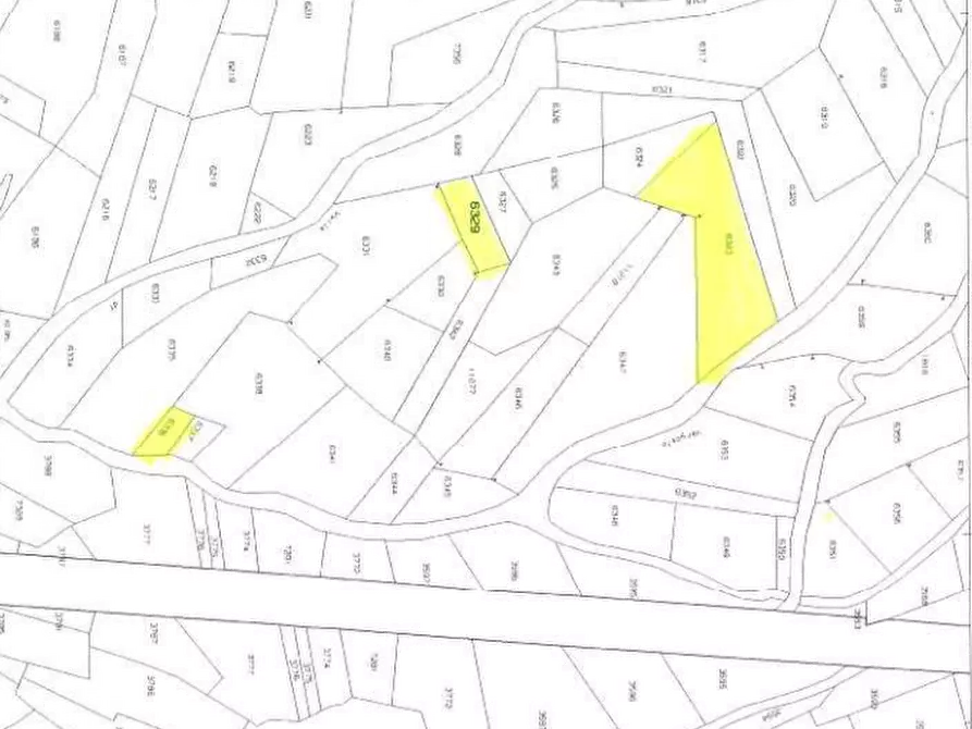 Immagine 9 di Terreno agricolo in vendita  in Località Stazzona a Stazzona