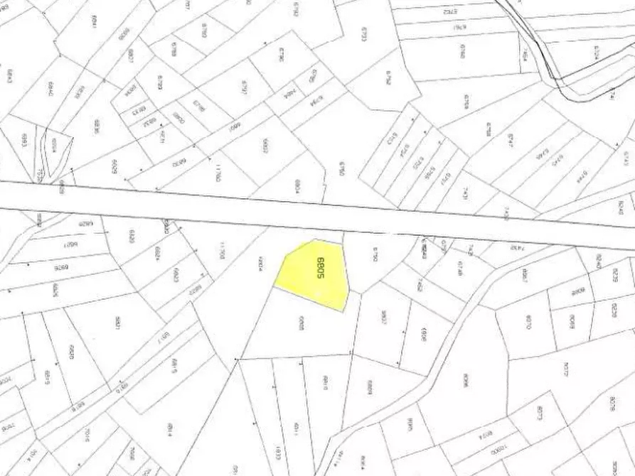 Immagine 10 di Terreno agricolo in vendita  in Località Stazzona a Stazzona