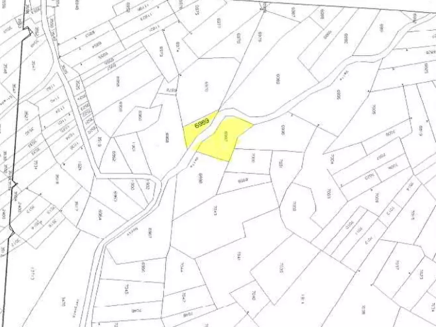 Immagine 11 di Terreno agricolo in vendita  in Località Stazzona a Stazzona