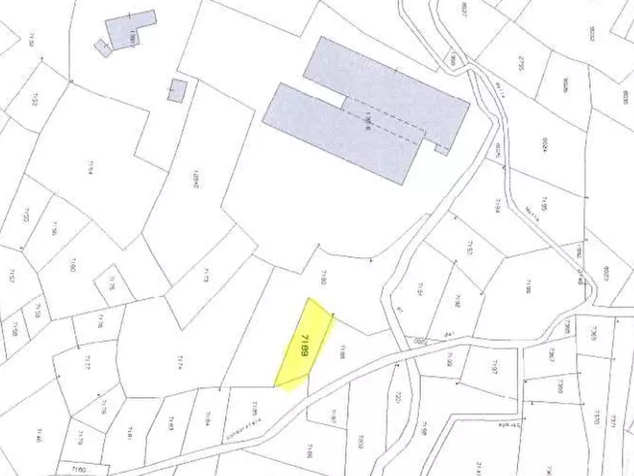 Immagine 12 di Terreno agricolo in vendita  in Località Stazzona a Stazzona