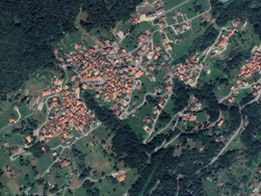Immagine 3 di Terreno agricolo in vendita  in Località Stazzona a Stazzona