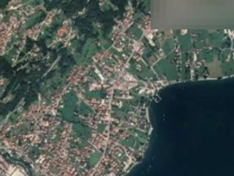 Immagine 4 di Terreno agricolo in vendita  in Località Stazzona a Stazzona