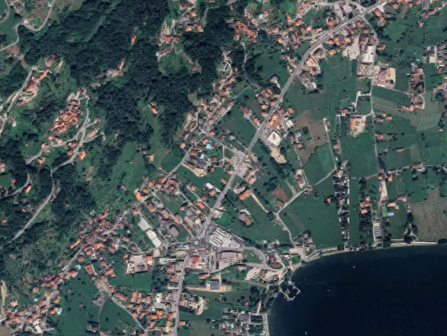 Immagine 5 di Terreno agricolo in vendita  in Località Stazzona a Stazzona