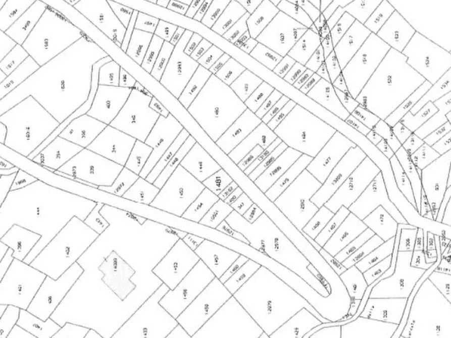 Immagine 9 di Terreno agricolo in vendita  in Località Stazzona a Stazzona