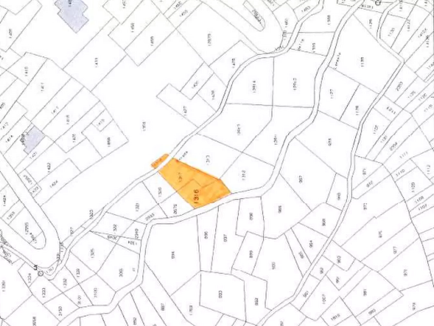 Immagine 10 di Terreno agricolo in vendita  in Località Stazzona a Stazzona