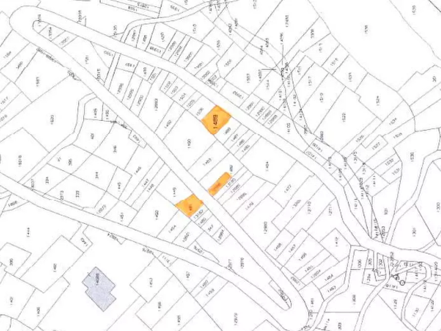 Immagine 11 di Terreno agricolo in vendita  in Località Stazzona a Stazzona