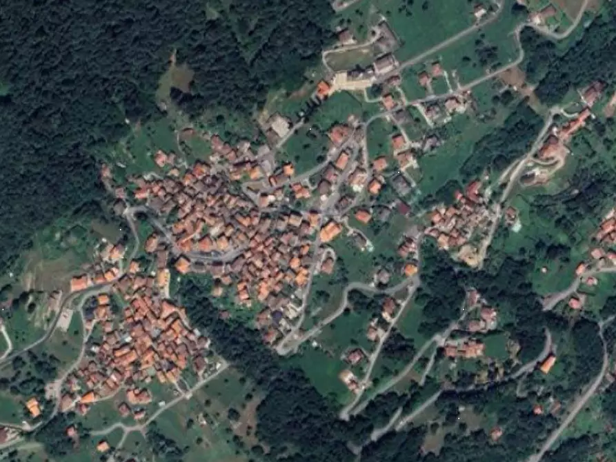 Immagine 2 di Terreno agricolo in vendita  in Località Stazzona a Stazzona