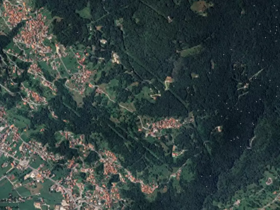 Immagine 8 di Terreno agricolo in vendita  in Località Stazzona a Stazzona
