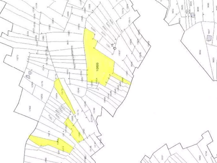 Immagine 9 di Terreno agricolo in vendita  in Località Stazzona a Stazzona