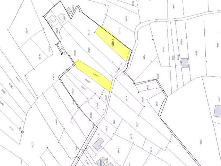 Immagine 10 di Terreno agricolo in vendita  in Località Stazzona a Stazzona