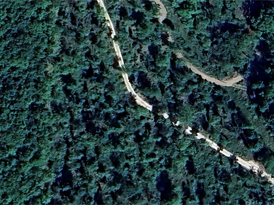 Immagine 2 di Terreno agricolo in vendita  in Via San Martino in Cecione a Greve In Chianti