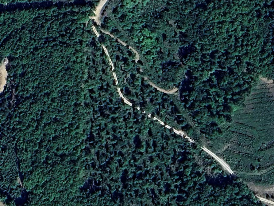 Immagine 3 di Terreno agricolo in vendita  in Via San Martino in Cecione a Greve In Chianti