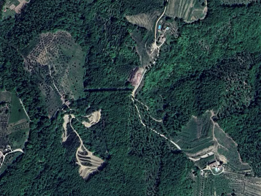 Immagine 4 di Terreno agricolo in vendita  in Via San Martino in Cecione a Greve In Chianti