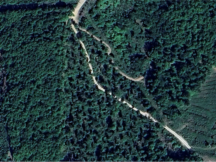 Immagine 5 di Terreno agricolo in vendita  in Via San Martino in Cecione a Greve In Chianti