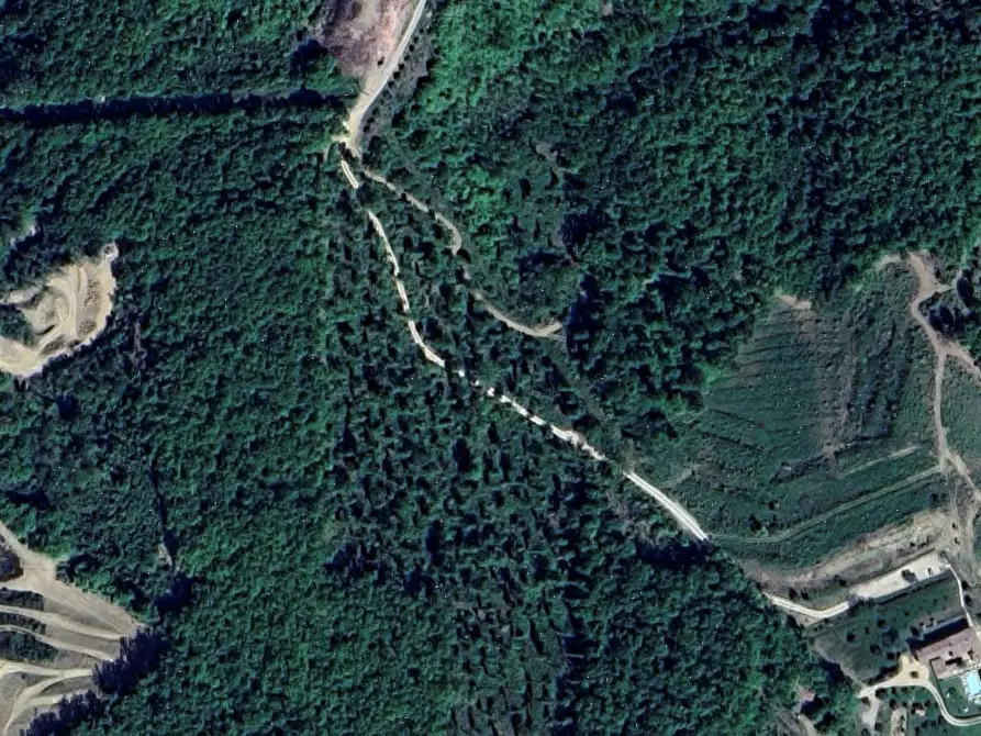 Immagine 6 di Terreno agricolo in vendita  in Via San Martino in Cecione a Greve In Chianti