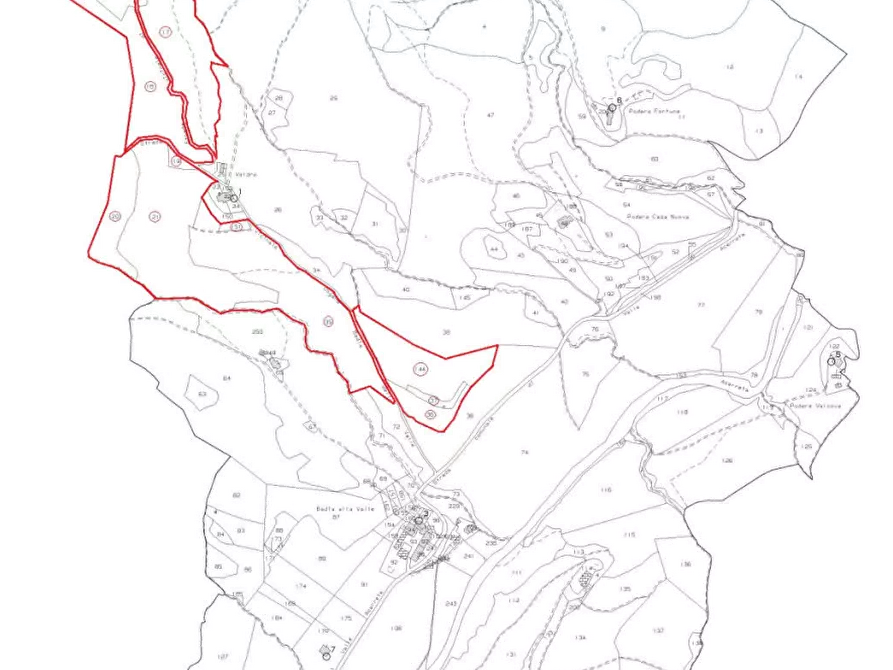 Immagine 9 di Terreno agricolo in vendita  in Localita' Valle Acerreta Valdrè a Marradi