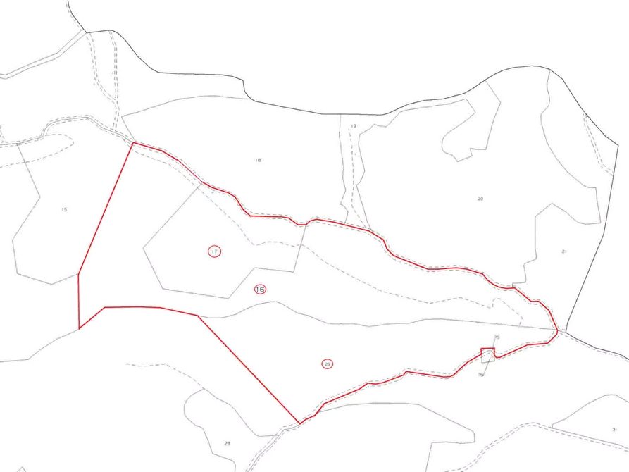 Immagine 10 di Terreno agricolo in vendita  in Localita' Valle Acerreta Valdrè a Marradi