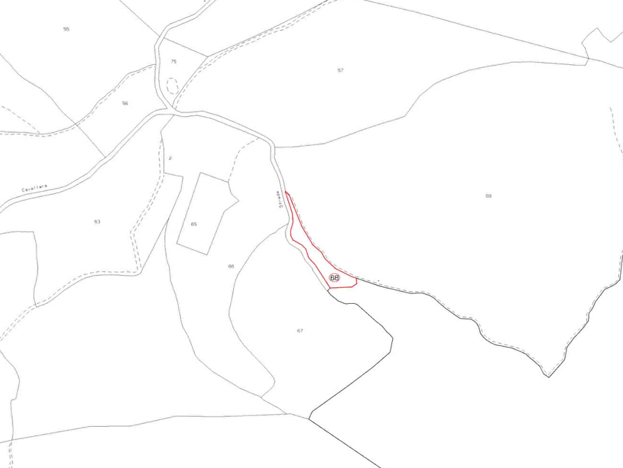 Immagine 11 di Terreno agricolo in vendita  in Localita' Valle Acerreta Valdrè a Marradi