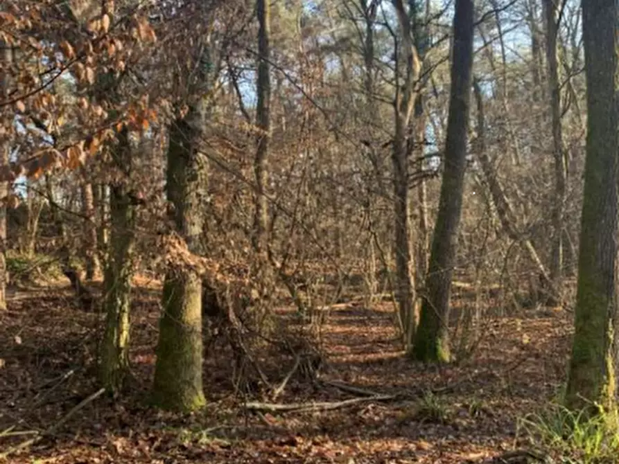 Immagine 2 di Terreno agricolo in vendita  in Via Gabbione a Gorlago