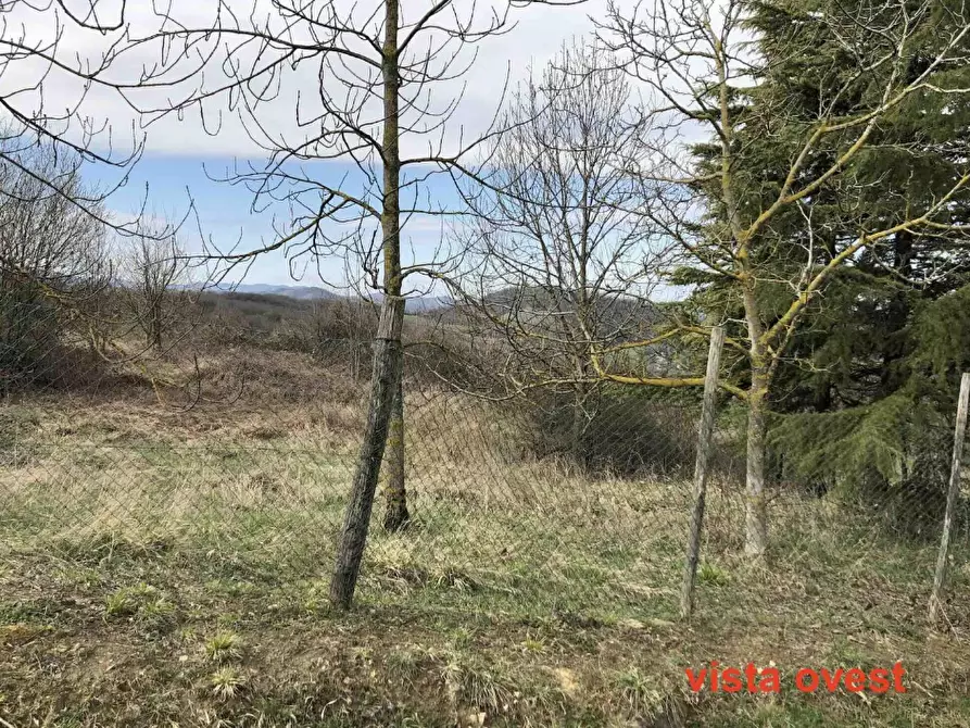 terreno edificabile in vendita a Gazzola