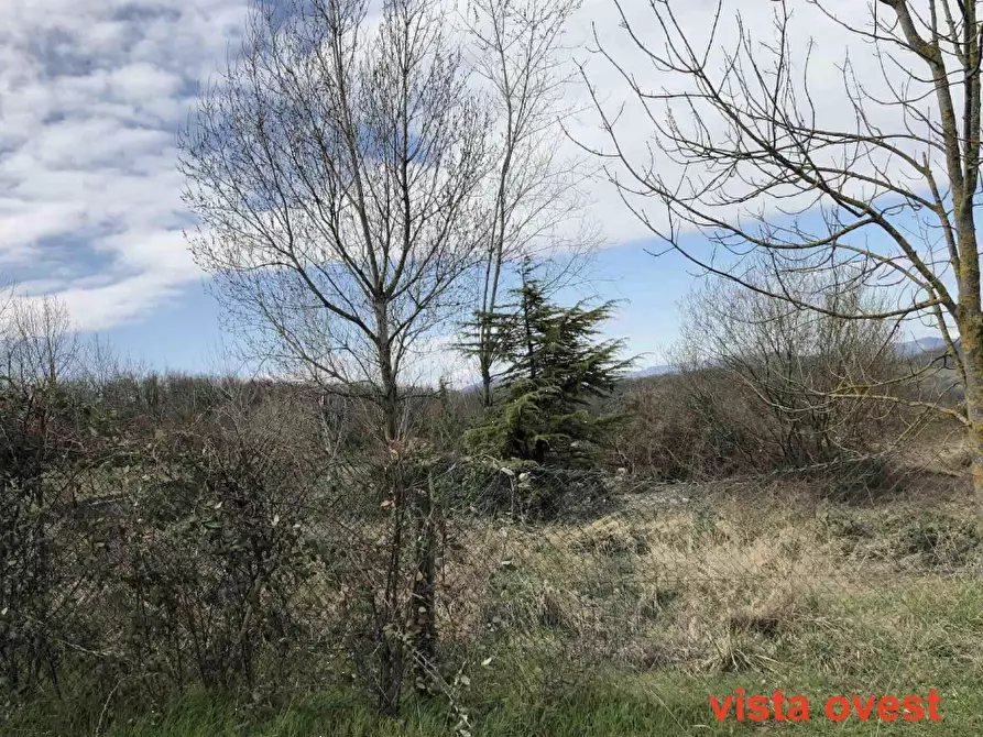 Immagine 3 di Terreno edificabile in vendita  in Località Boffalora a Gazzola