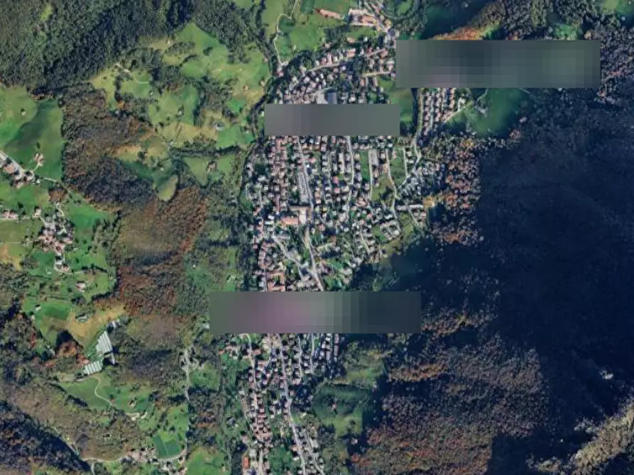 Immagine 6 di Terreno agricolo in vendita  in Località Serina a Serina